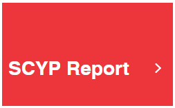 SGYP report.png